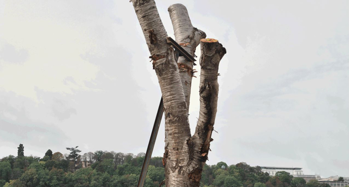 Oscar Tuazon, Ile de Seguin, 2012. Photo: Rebecca Fanuele. Courtesy of the artist. 