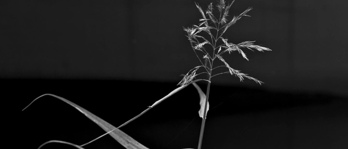 © Yann Mingard