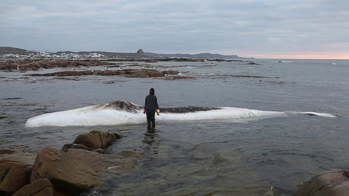 Patty Chang, Invocation For A Wandering Lake, part 1 & 2, 2015–2016. Video projection on cardboard bifold panels, sound, 12:49 min. Courtesy of the artist. 	