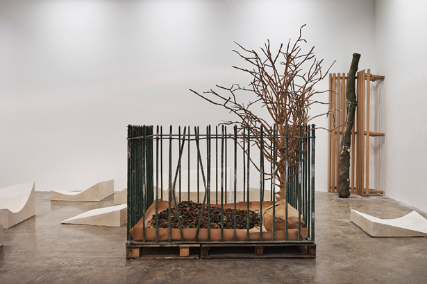 Eva Kotatkova & Dominik Lang, Wasteland, 2014. Installation, mixed materials, Project Arts centre 2014