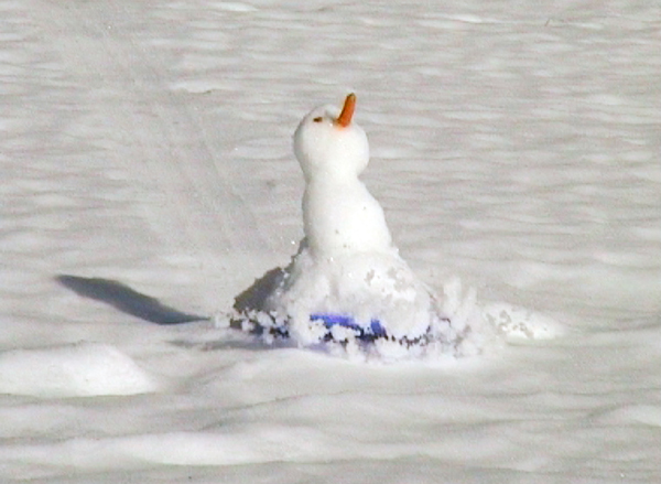 Silvia Bächli Eric Hattan, Snowhau, 2003. Capture d’écran © Les artistes