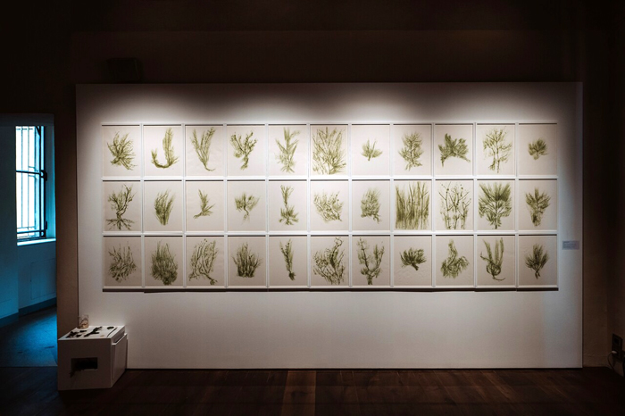 Giuseppe Penone, Trentatrè erbe, 33 sheets, 1989. Lithography and photography, 45.5 x 34.5 cm each, private collection. Photo: Paolo Mantovan.