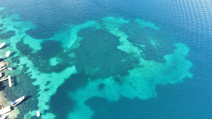 Hito Steyerl, Image CC 4.0. Courtesy of the artist, Andrew Kreps Gallery, New York and Esther Schipper, Berlin/Paris/Seoul.