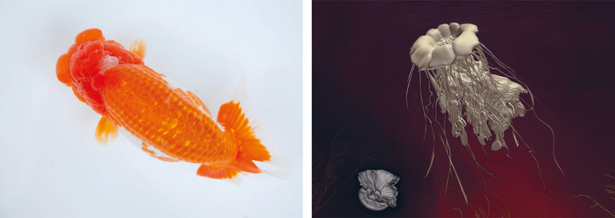 A gauche : Revital Cohen, Kingyo Kingdom (capture d’écran), 2012. Photo: Cohen Van Balen. A droite : Melanie Jackson, The Urpflanze (Part 2) (capture, 2012. Production The Arts Catalyst.