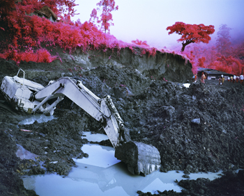 Richard Mosse, Stalemate, 2011. Digital c-print. Courtesy the artist and Jack Shainman Gallery, New York.