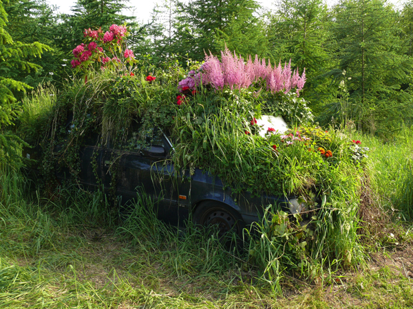 Tea Mäkipää, Petrol Engine Memorial Park, 2010. Car covered with plants. Foundation dertien hectare. Photo: Frans van Lokven. 