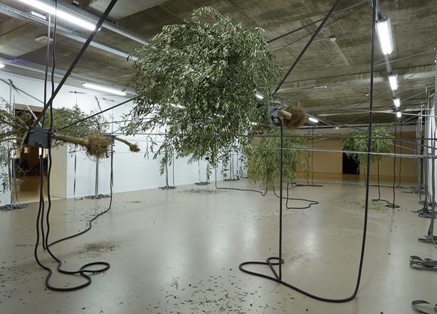 Sensory Spaces 5 – Siobhán Hapaska. Installation view. Photo: Studio Hans Wilschut, Rotterdam.