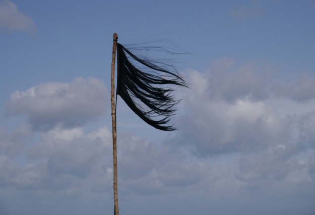 Edith Dekyndt, Ombre Indigène Part. 2 (Ile de la Martinique), 2014. Courtesy of the artist. 