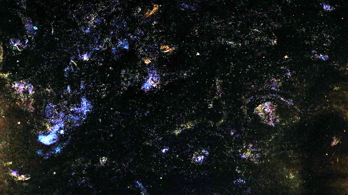 Glenda León,&nbsp;A Tree Falls in the Forest. Celestial Bodies (n.6), 2017–2026 [Fragment]. 