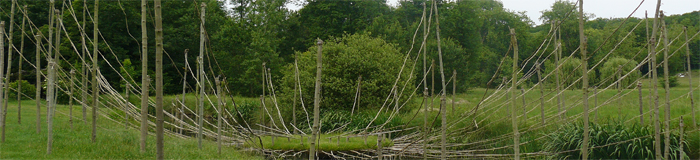 Nils-Udo, Autel de rivière (Altar River), Méréville (Frankreich), 2010. Foto : Marika Prevosto