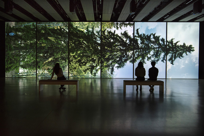 View of Eija-Liisa Ahtila, Horizontal - Vaakasuora, 2011, at Among the Trees, Hayward Gallery, 2020. © Crystal Eye, Helsinki, 2020. Courtesy of Hayward Gallery. Photo: Linda Nylind.