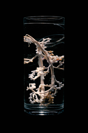 Pinar Yoldas, Stomaximus: plastivore digestive organ, 2013. Polymer clay, silicone, glass, 70 cm high, 19 cm diameter. © Pinar Yoldas. 