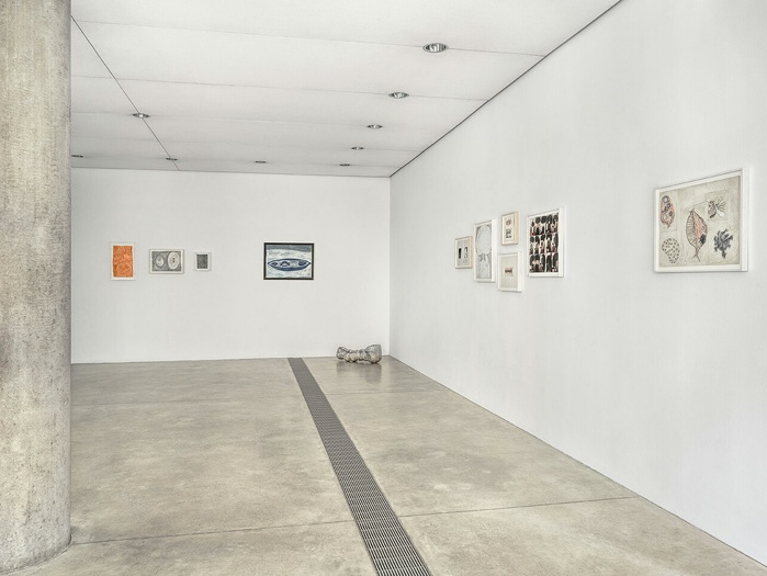 View of Veronica Ryan: Unruly Objects, the Pulitzer Arts Foundation, St. Louis, 2025. © Veronica Ryan, OBE. Photo: Alise O’Brien Photography. © Pulitzer Arts Foundation and Alise O’Brien Photography. 
