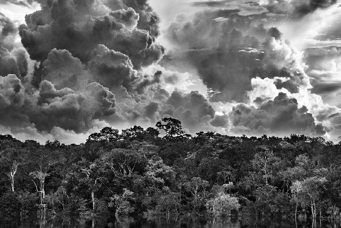 Sebastião Salgado, Mariuá Archipelago, Middle Rio Negro. State of Amazonas, Brazil, 2019. © Sebastião Salgado. 