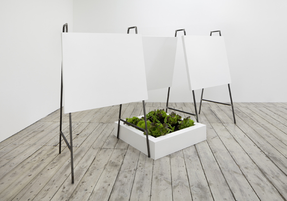 Nikita Kadan, Limits of Responsibility, 2014. Metal, painted wood, earth and vegetables; 1.7 x 3 x 1 meters, 36 color slides, three book facsimiles, each 28.5 x 20.5 cm. Photo: Henning Moser. Courtesy Campagne Première, Berlin.
