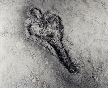 Ana Mendieta, Untitled (From the "Silueta" series), 1980. ARCO Foundation. CA2M Deposit.