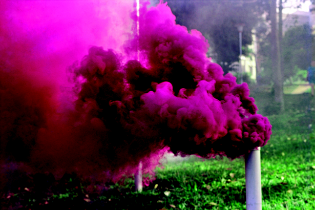 Décio Noviello, Ação no Parque Municipal (Action at the Municipal Park), Belo Horizonte, 1970. 18 c-print photographs, 50 x 75 cm. Courtesy of the artist and Instituto Inhotim.