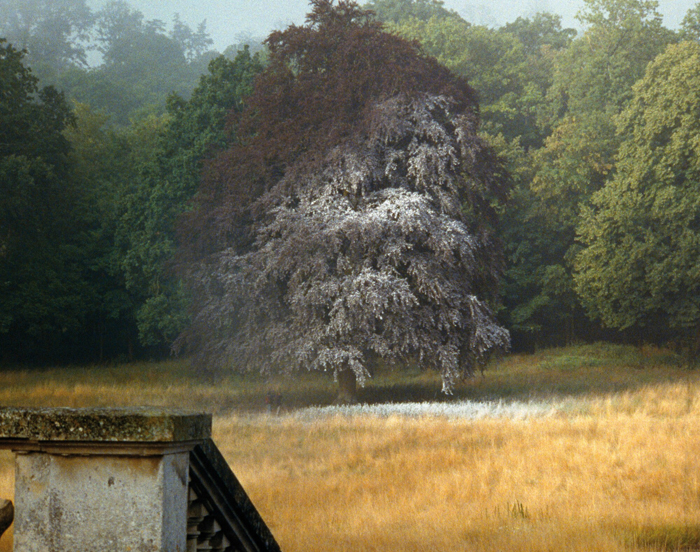 Cyprien Gaillard, Real Remnants of Fictive Wars V, 2004. © Cyprien Gaillard. Avec l'aimable autorisation de Sprüh Magers et Gladstone Gallery.