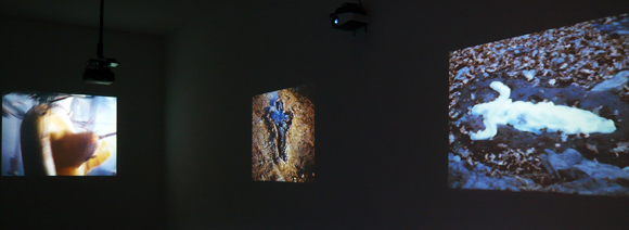 Transformations: Ingeborg Lüscher, Ana Mendieta, Teresa Murak, 2014. Exhibition view, Campagne Première, 2014.