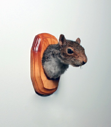 Jacob Heustis, Drool (Squirrel), 2011. Taxidermy, water, tin, wood, polyethylene, pump, electricity.