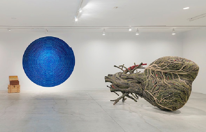 Left: Bharti Kher, Virus VII, 2016. Right: Bharti Kher, An absence of assignable cause, 2007. Installation view, BHARTI KHER: Matter, Vancouver Art Gallery, 2016. Courtesy of the artist and Galerie Perrotin. Photo: Maegan Hill-Carroll, Vancouver Art Gallery. 