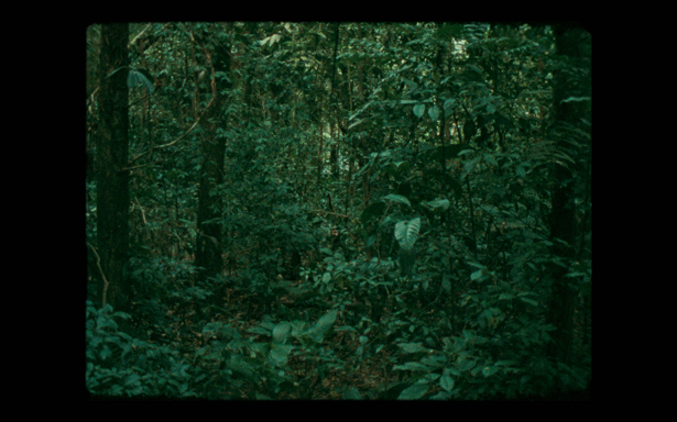 Daniel Steegman Mangrané, 16mm, 2009–2011. 16mm film, color, synchronized 5.1 digital sound, 5:26 minutes.