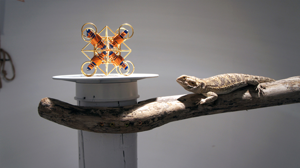 Iain Ball, Neodymium (Energy Pangea), 2011. Small Maitreya Solar Cross, exo-terra sun glo halogen, neodymium reptile lamp, bearded dragon, driftwood, terrarium, 5:42 soundtrack.