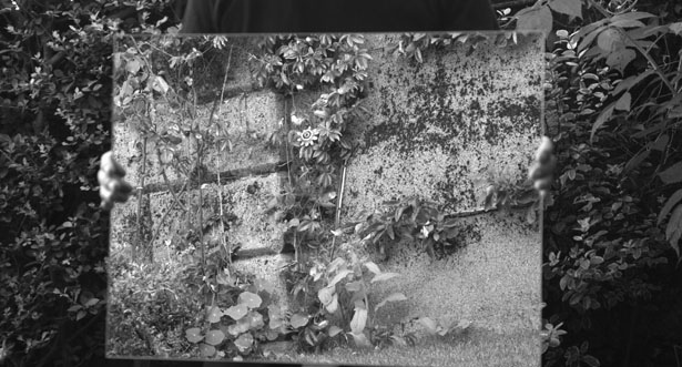 Niamh O’Malley, Garden (capture d’écran), 2013. Vidéo