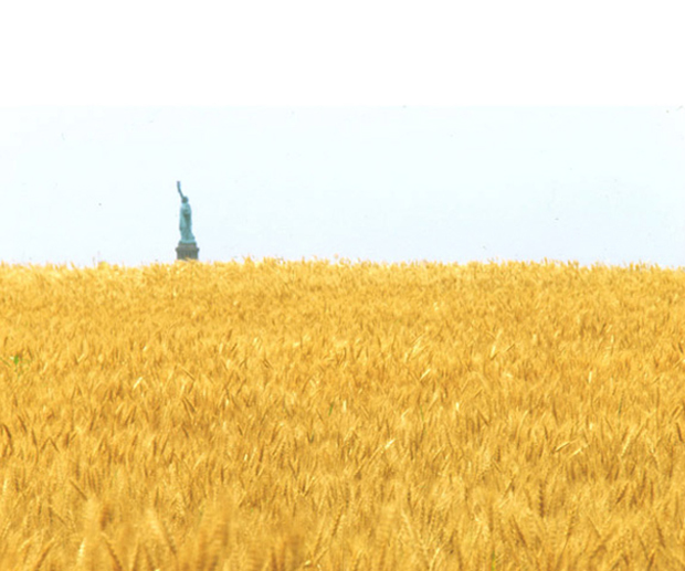 © Agnes Denes, Wheatfield - A Confrontation: Battery Park Landfiln Dowtown Manhattan, 1982