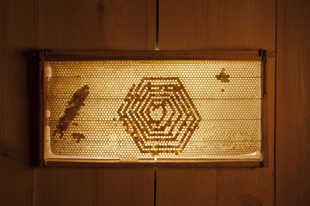 Micol Assaël, 432Hz, 2009–2014. Mixed media installation; wood, beeswax, honey, electrical system, audio, 330 x 475 x 575 cm. Photo: Agostino Osio. Courtesy Micol Assaël, Museo MADRE and Fondazione HangarBicocca, Milano.