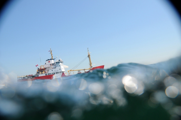 Paul Lloyd Sargent, Untitled Seaway Studies #193, Griphon, 2008